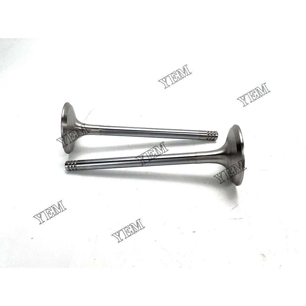 YEM F2L2011 Intake Valve Deutz excavator diesel engine YEMPARTS