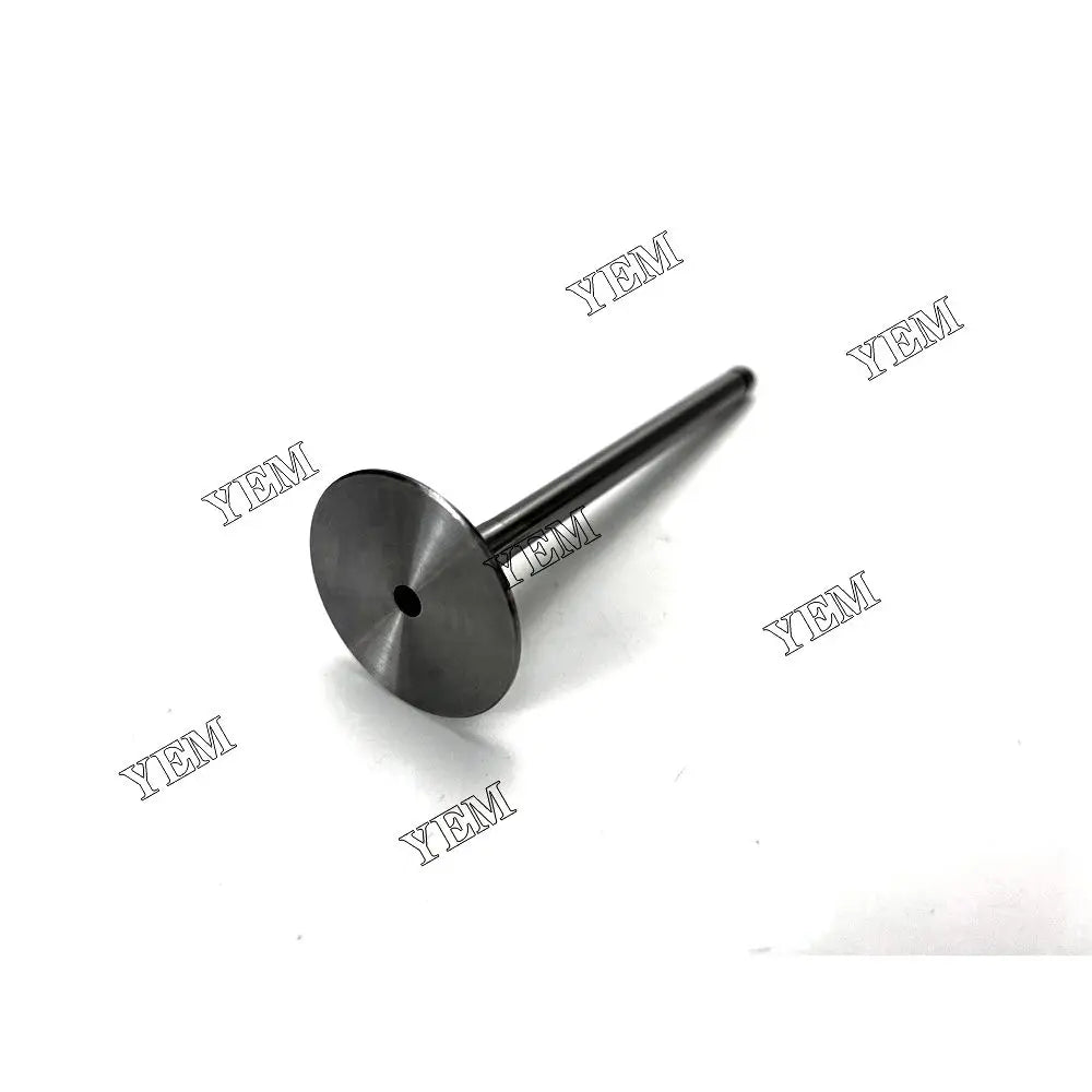 competitive price 4231479 Intake Valve For Deutz BF4L913 excavator engine part YEMPARTS