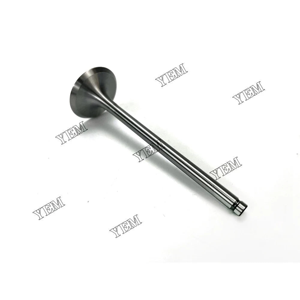 competitive price 4231479 Intake Valve For Deutz BF4L913 excavator engine part YEMPARTS