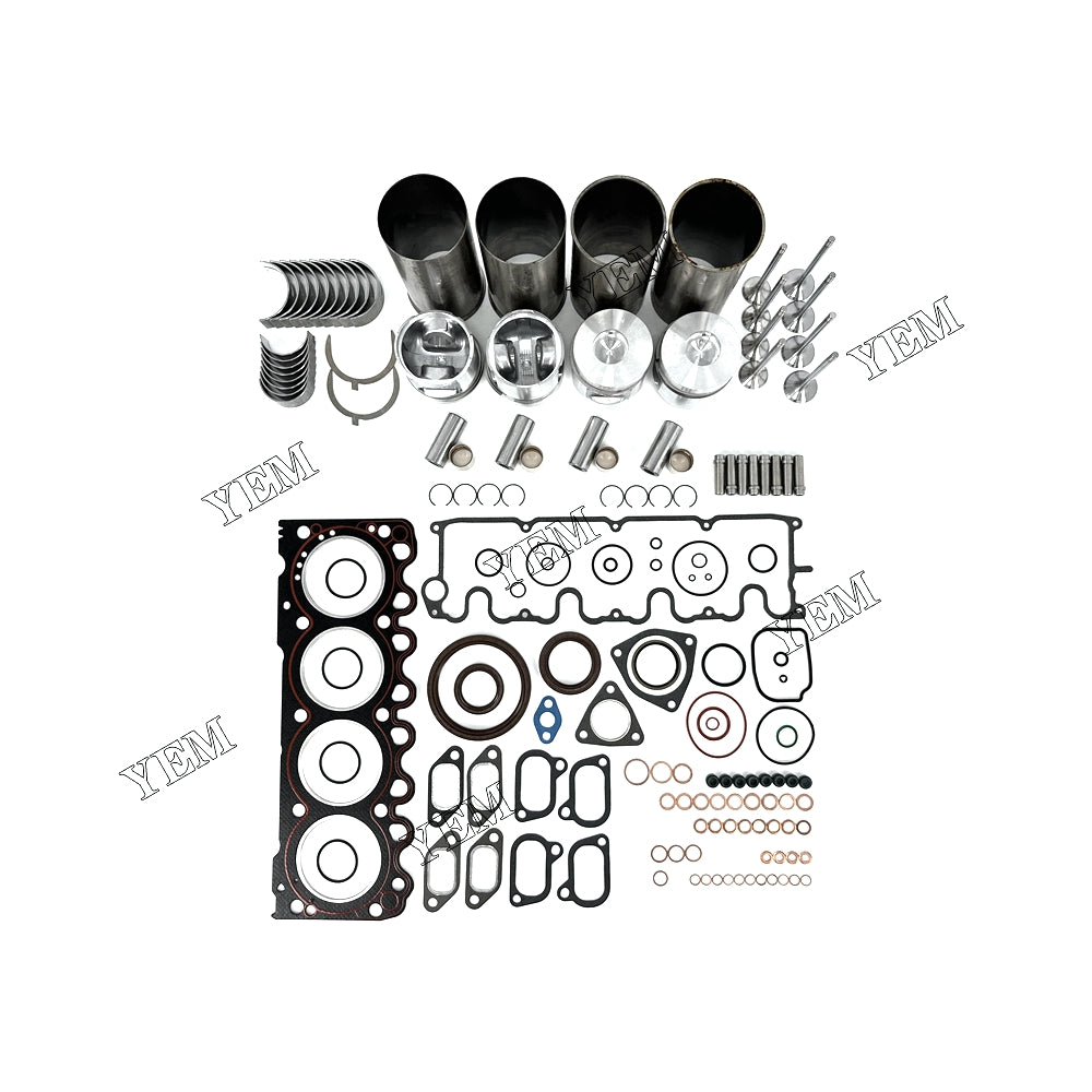 Fast Shipping Engine Overhaul Rebuild Kit With Gasket Bearing Valve Set For Deutz BF4L1011 engine spare parts YEMPARTS