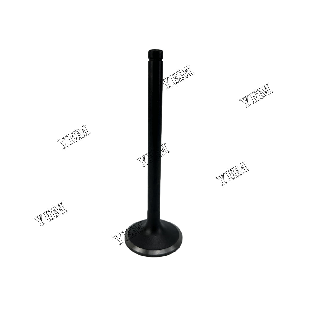 13711-1561 13711-1012 13711-101A 13711-1390A Intake And Exhaust Valve EF750 Engine For Hino spare parts YEMPARTS