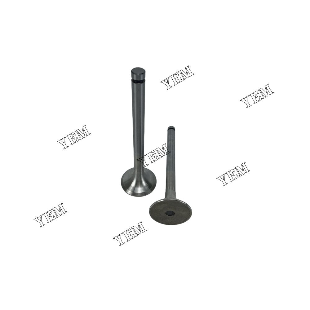 Intake And Exhaust Valve PE6 Engine For Nissan spare parts YEMPARTS