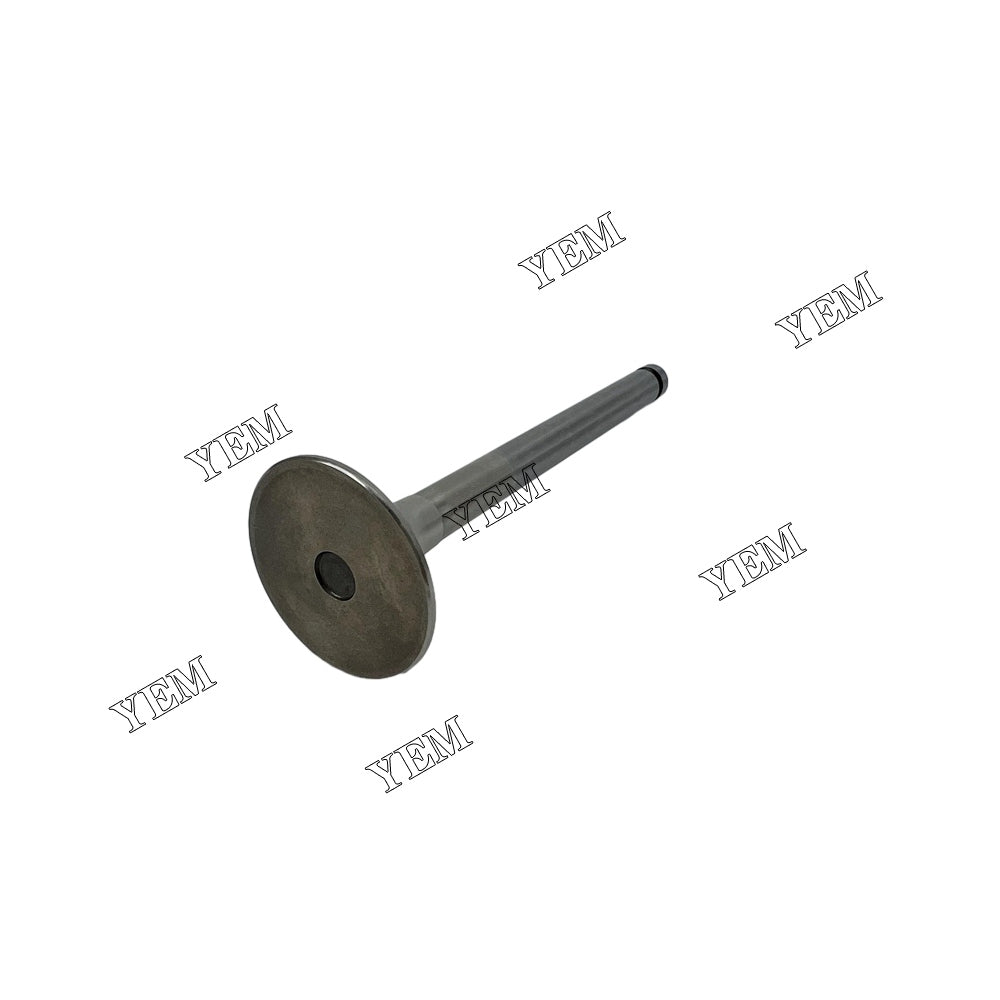 Intake And Exhaust Valve PE6 Engine For Nissan spare parts YEMPARTS